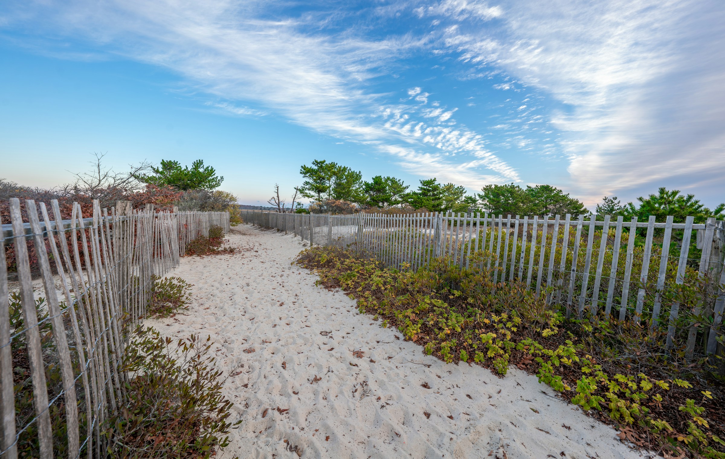 Cape Cod sand path. Photo by John Kelleher on Unsplash